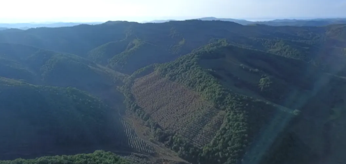 �򲩡�max(�й���)�����ٷ���վ-Unique Platform