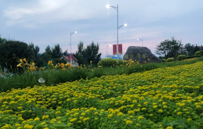 �򲩡�max(�й���)�����ٷ���վ-Unique Platform