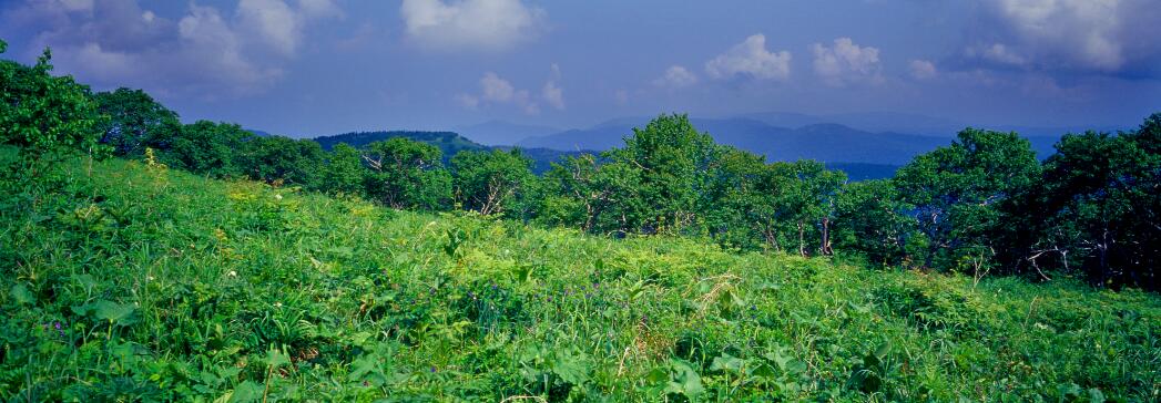 �򲩡�max(�й���)�����ٷ���վ-Unique Platform