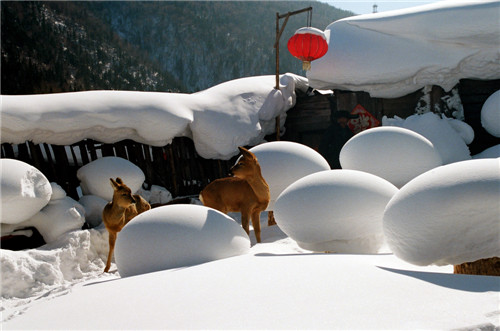 �򲩡�max(�й���)�����ٷ���վ-Unique Platform