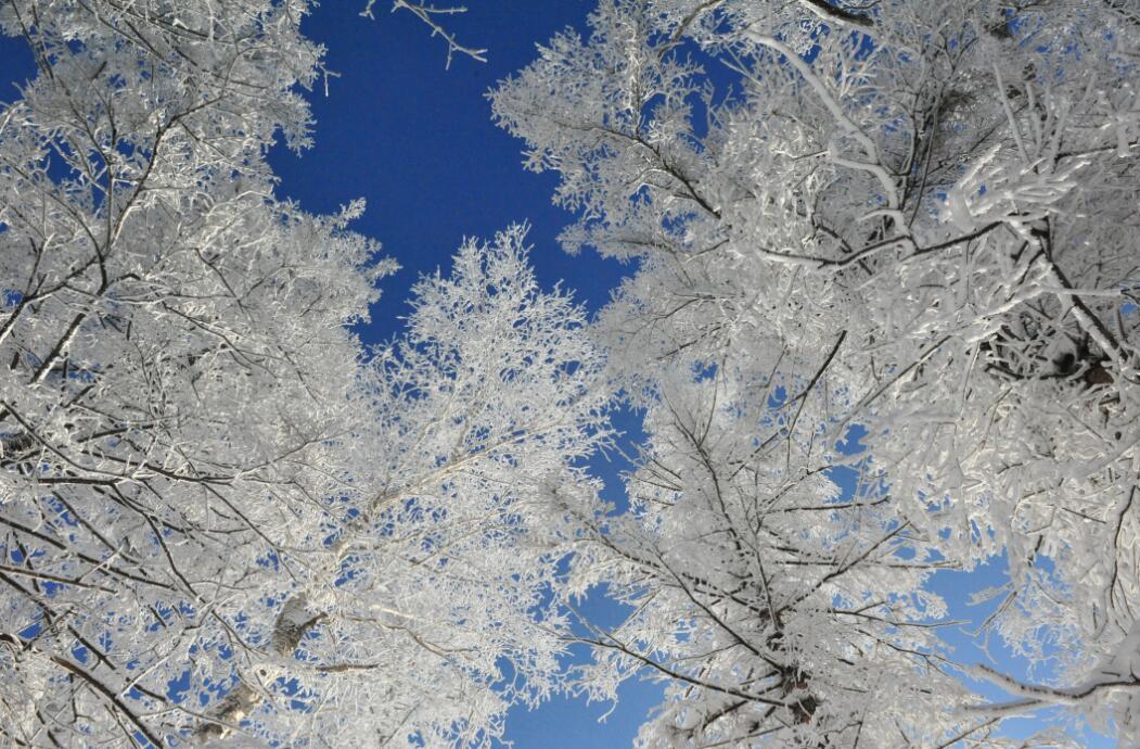 �򲩡�max(�й���)�����ٷ���վ-Unique Platform