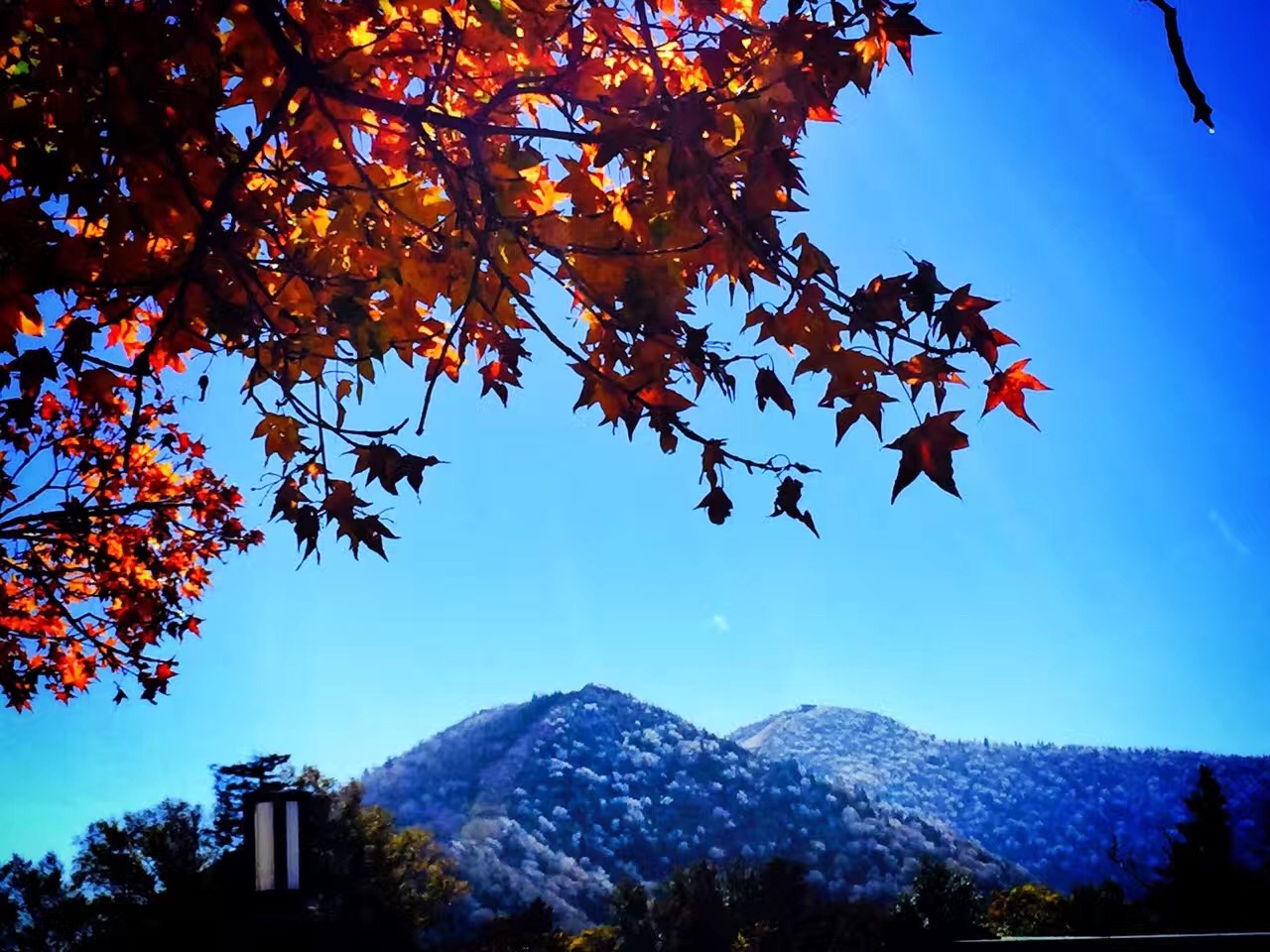 �򲩡�max(�й���)�����ٷ���վ-Unique Platform