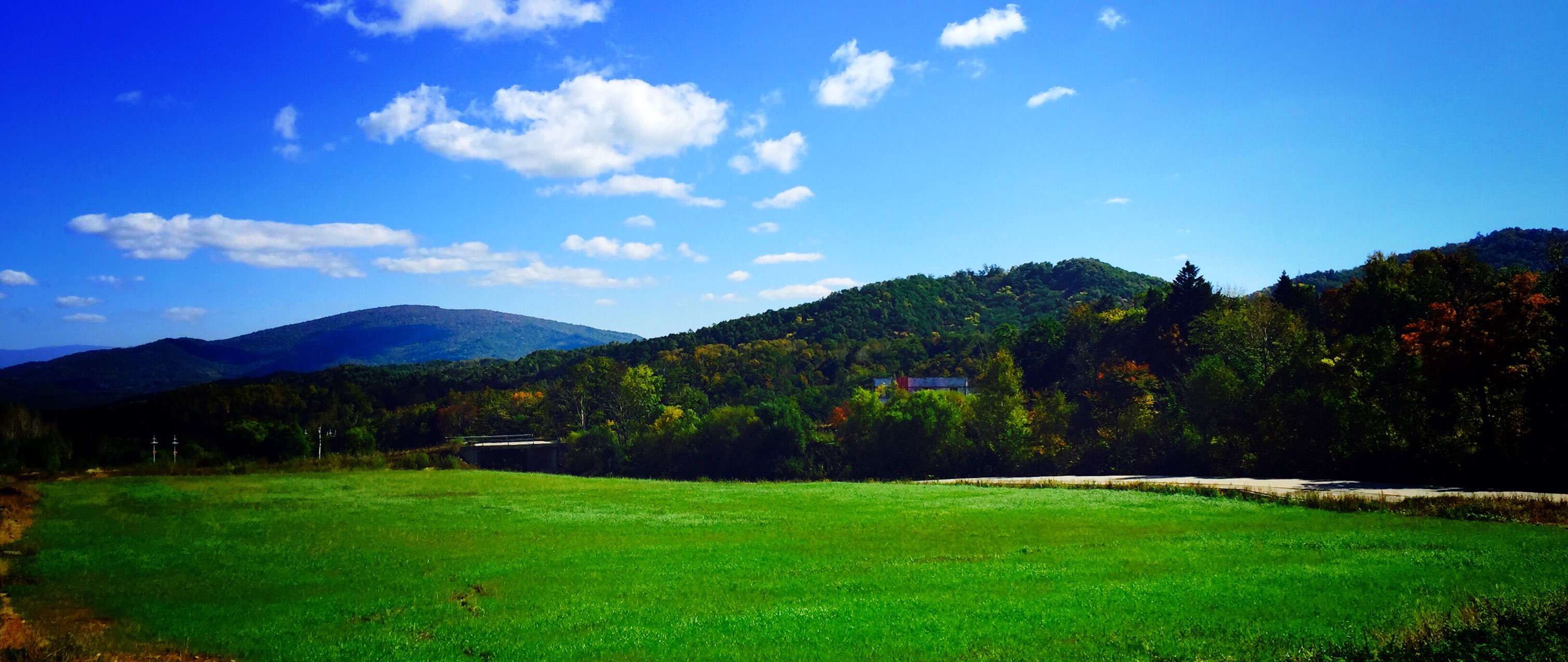 �򲩡�max(�й���)�����ٷ���վ-Unique Platform