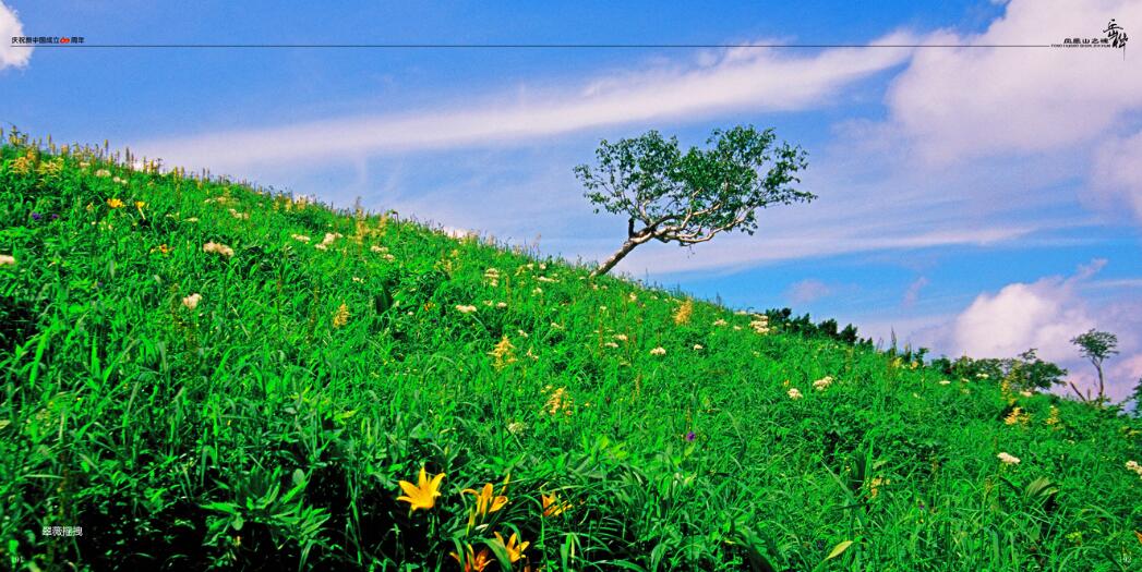 �򲩡�max(�й���)�����ٷ���վ-Unique Platform