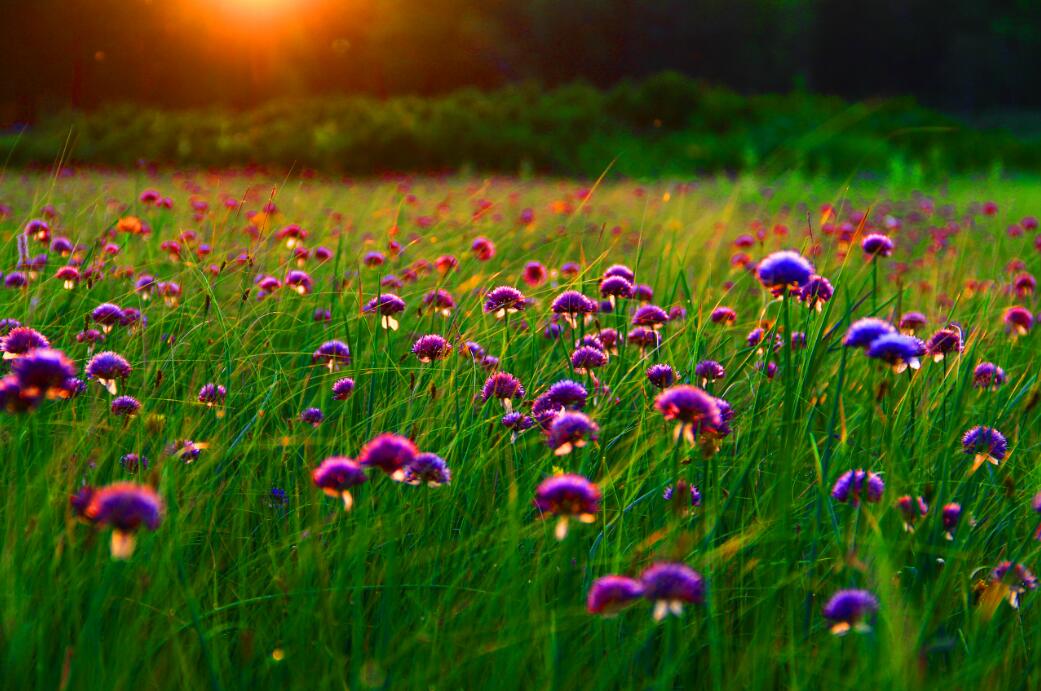 �򲩡�max(�й���)�����ٷ���վ-Unique Platform