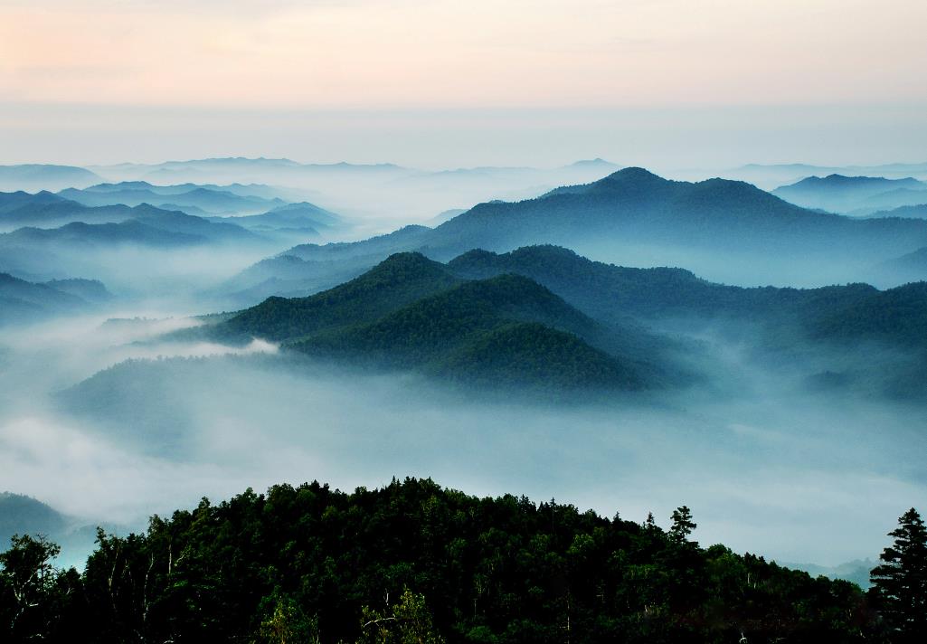 �򲩡�max(�й���)�����ٷ���վ-Unique Platform