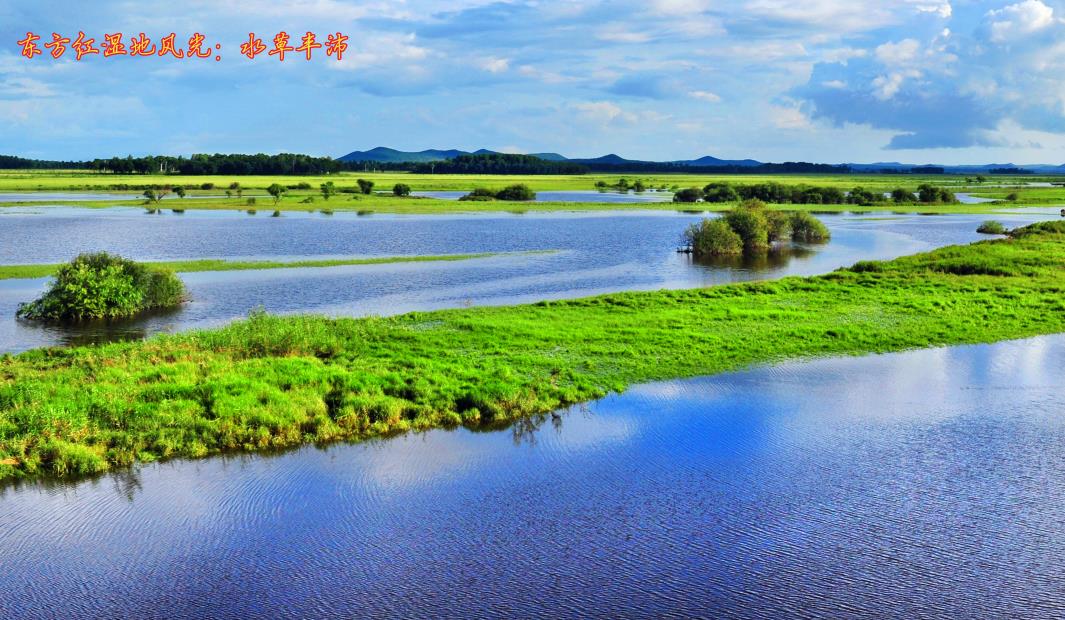 �򲩡�max(�й���)�����ٷ���վ-Unique Platform