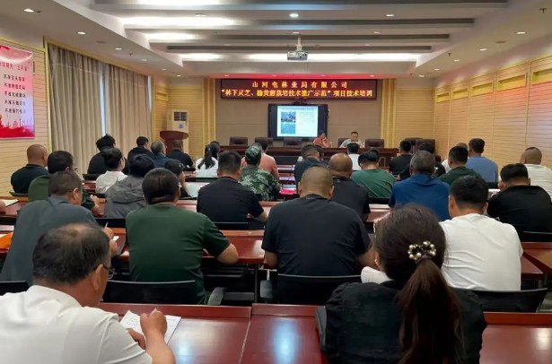 �򲩡�max(�й���)�����ٷ���վ-Unique Platform