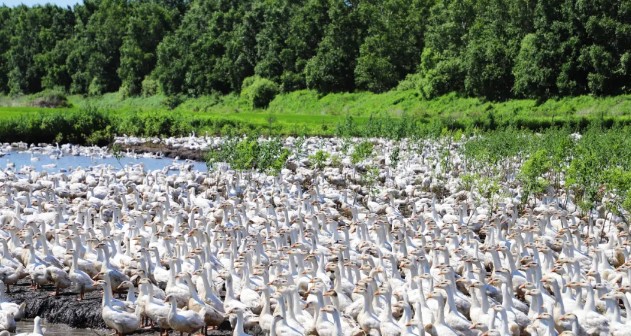 �򲩡�max(�й���)�����ٷ���վ-Unique Platform