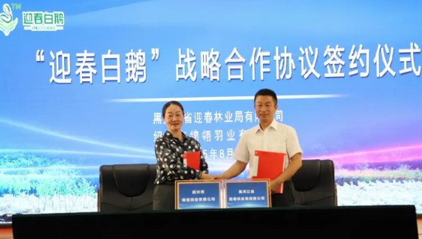 �򲩡�max(�й���)�����ٷ���վ-Unique Platform