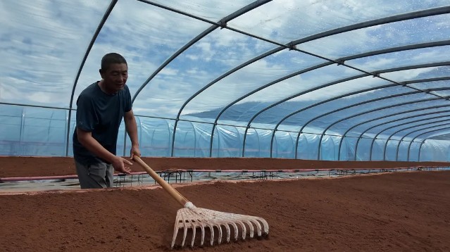 �򲩡�max(�й���)�����ٷ���վ-Unique Platform