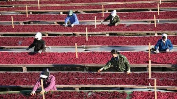 �򲩡�max(�й���)�����ٷ���վ-Unique Platform