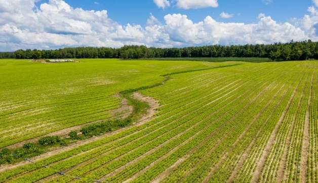 �򲩡�max(�й���)�����ٷ���վ-Unique Platform