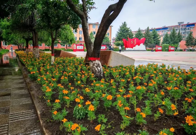 �򲩡�max(�й���)�����ٷ���վ-Unique Platform