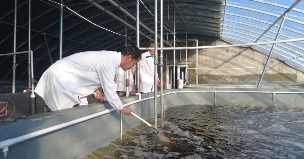 �򲩡�max(�й���)�����ٷ���վ-Unique Platform