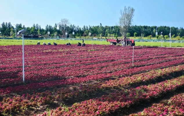 �򲩡�max(�й���)�����ٷ���վ-Unique Platform