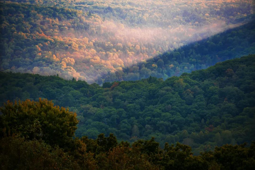 �򲩡�max(�й���)�����ٷ���վ-Unique Platform