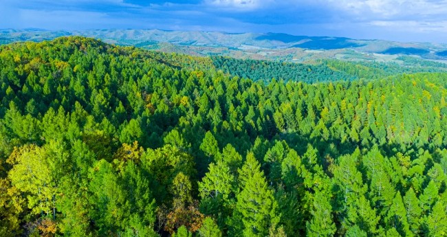 Íò²©¡¤max(ÖйúÓÎ)ÌåÓý¹Ù·½ÍøÕ¾-Unique Platform