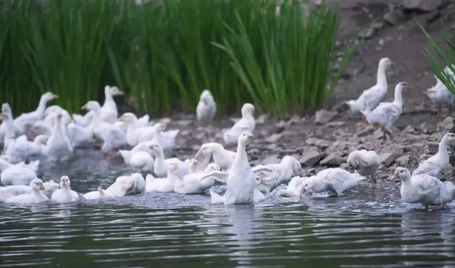 Íò²©¡¤max(ÖйúÓÎ)ÌåÓý¹Ù·½ÍøÕ¾-Unique Platform