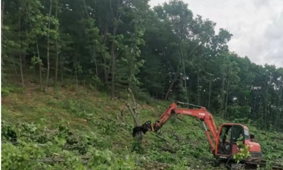 �򲩡�max(�й���)�����ٷ���վ-Unique Platform