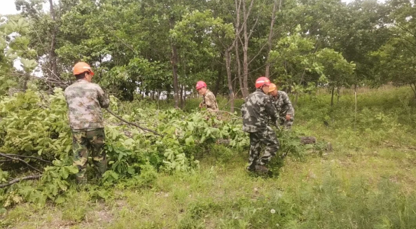 �򲩡�max(�й���)�����ٷ���վ-Unique Platform