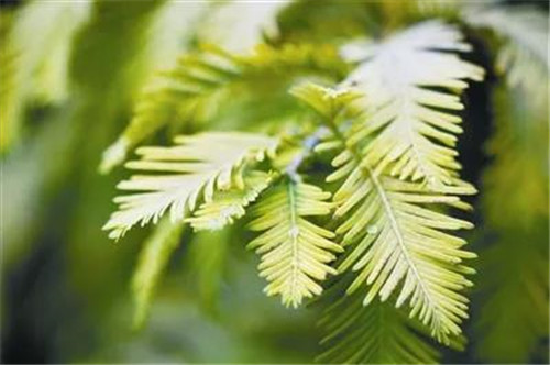 �򲩡�max(�й���)�����ٷ���վ-Unique Platform