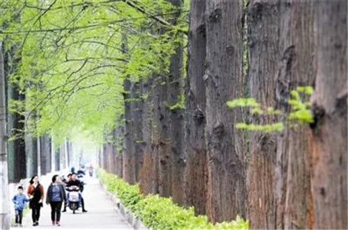 �򲩡�max(�й���)�����ٷ���վ-Unique Platform