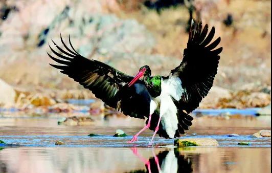 �򲩡�max(�й���)�����ٷ���վ-Unique Platform