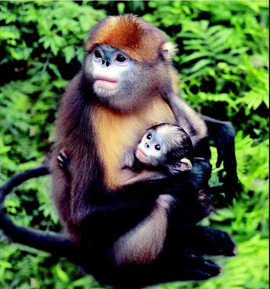 �򲩡�max(�й���)�����ٷ���վ-Unique Platform