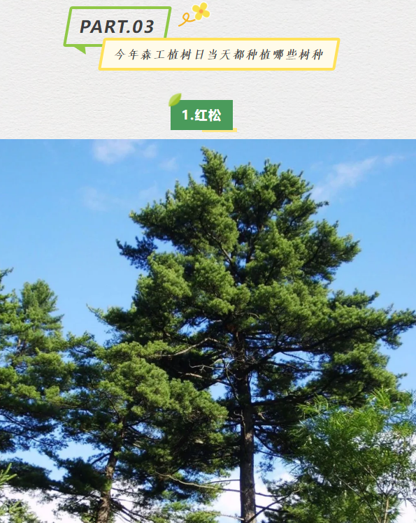 �򲩡�max(�й���)�����ٷ���վ-Unique Platform