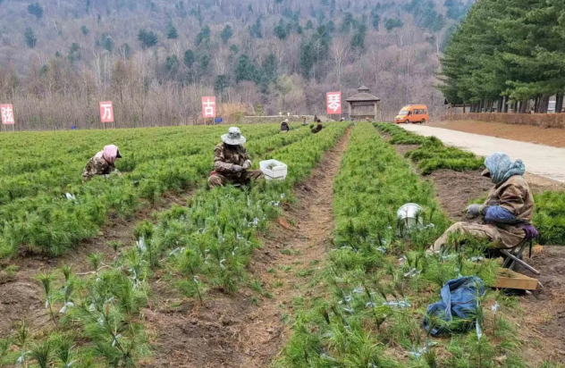 �򲩡�max(�й���)�����ٷ���վ-Unique Platform