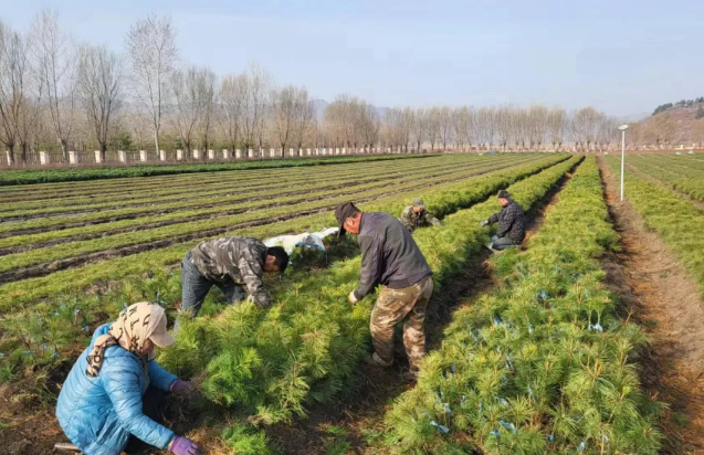 �򲩡�max(�й���)�����ٷ���վ-Unique Platform