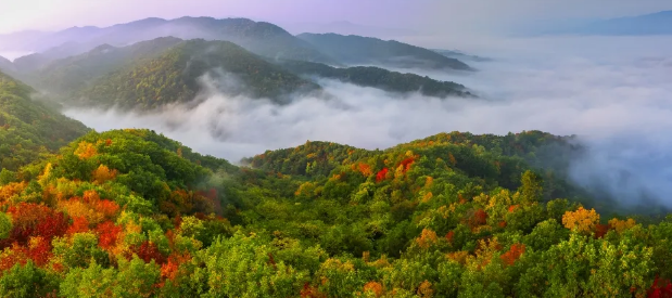 �򲩡�max(�й���)�����ٷ���վ-Unique Platform