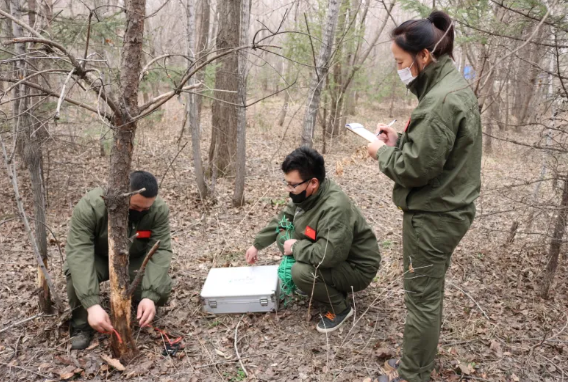 �򲩡�max(�й���)�����ٷ���վ-Unique Platform