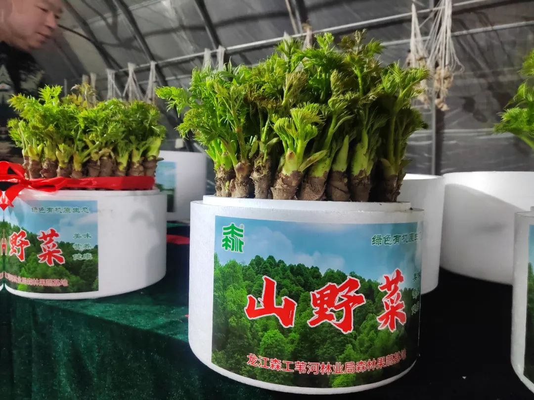 �򲩡�max(�й���)�����ٷ���վ-Unique Platform