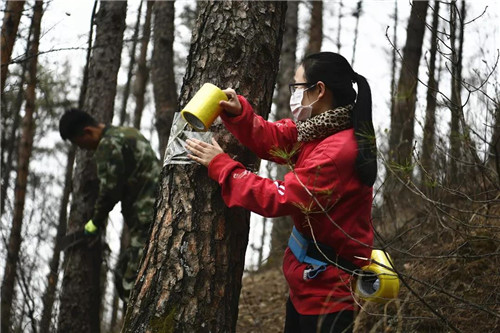 �򲩡�max(�й���)�����ٷ���վ-Unique Platform