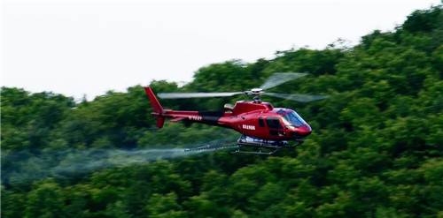 �򲩡�max(�й���)�����ٷ���վ-Unique Platform