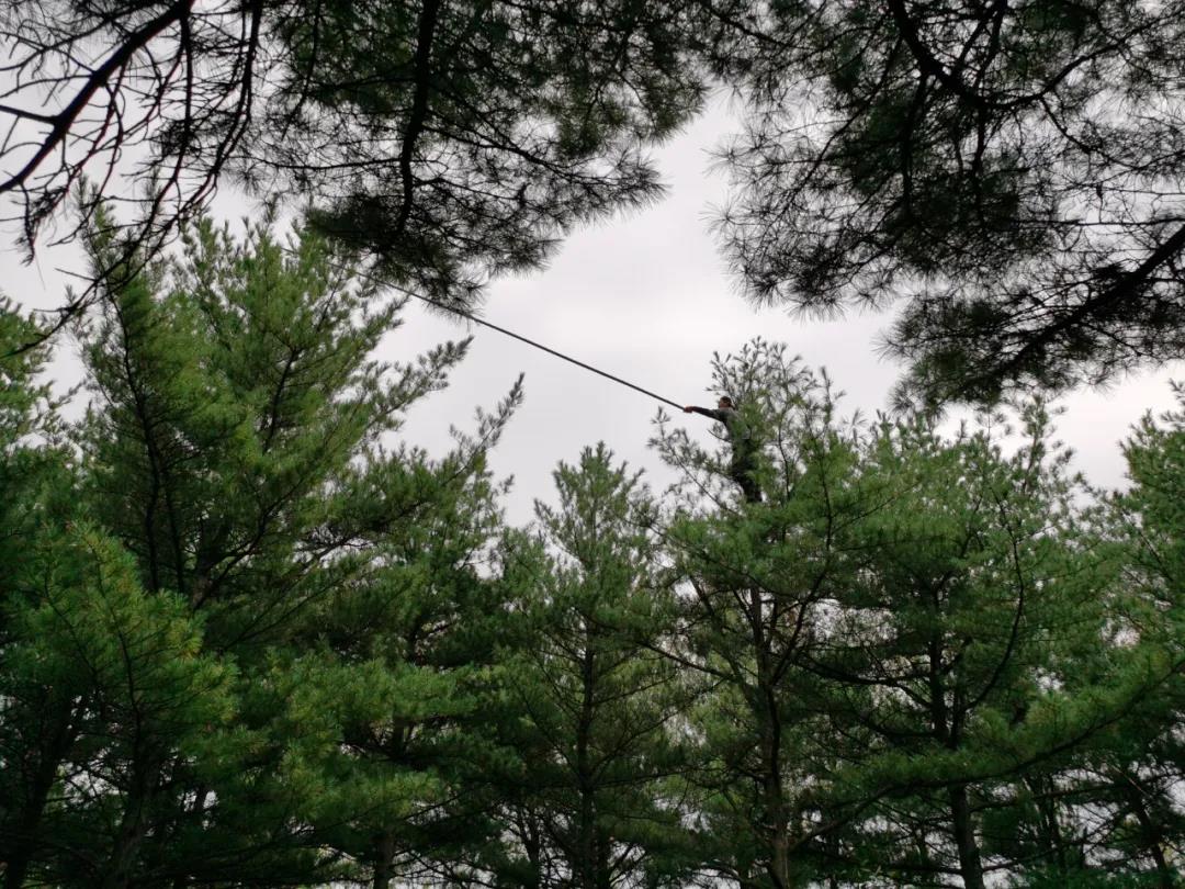 �򲩡�max(�й���)�����ٷ���վ-Unique Platform