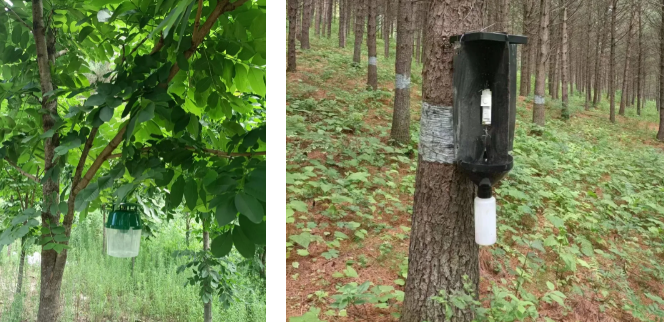 �򲩡�max(�й���)�����ٷ���վ-Unique Platform