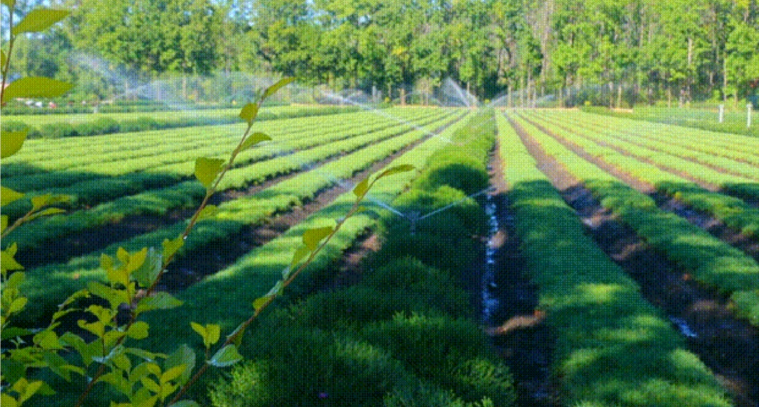 �򲩡�max(�й���)�����ٷ���վ-Unique Platform