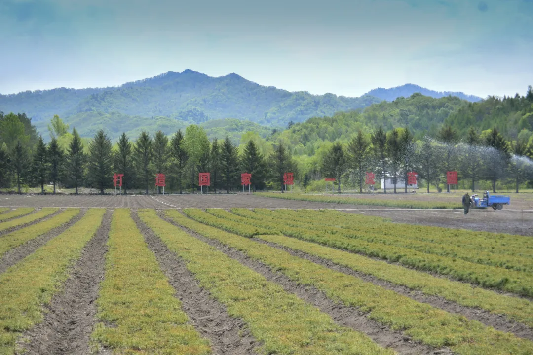 �򲩡�max(�й���)�����ٷ���վ-Unique Platform