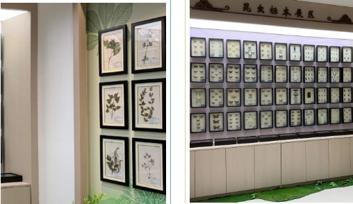 �򲩡�max(�й���)�����ٷ���վ-Unique Platform