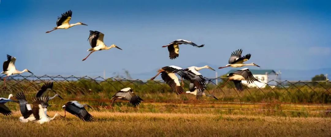 Íò²©¡¤max(ÖйúÓÎ)ÌåÓý¹Ù·½ÍøÕ¾-Unique Platform