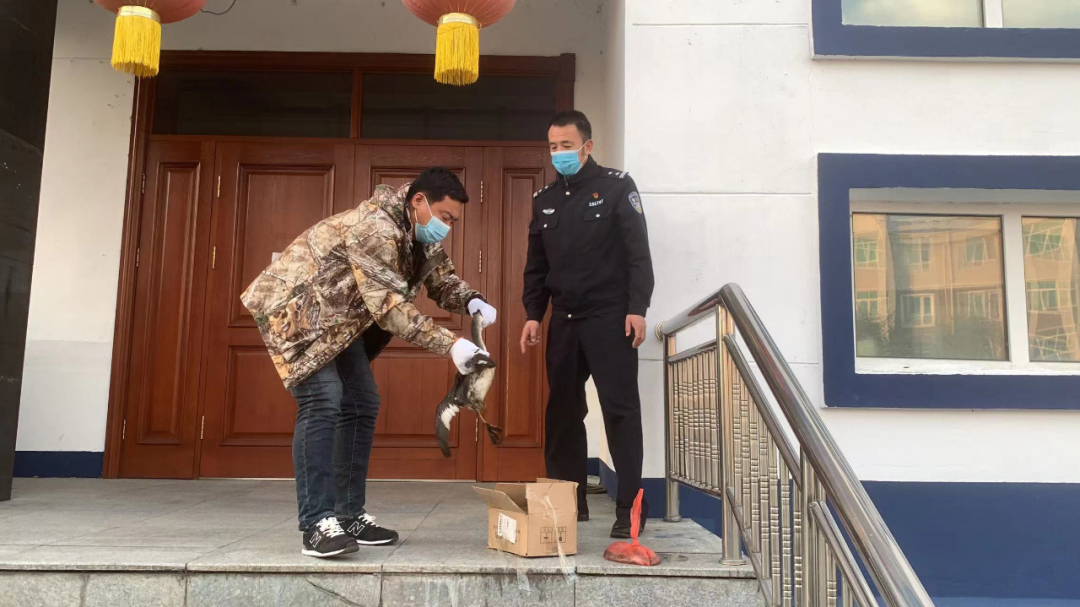 �򲩡�max(�й���)�����ٷ���վ-Unique Platform