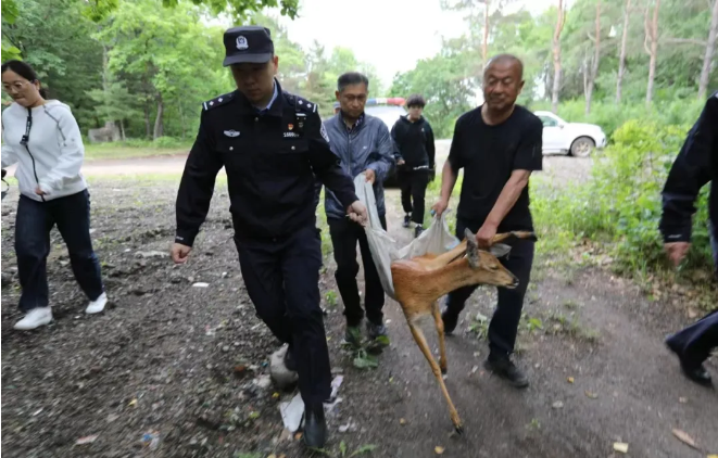 �򲩡�max(�й���)�����ٷ���վ-Unique Platform