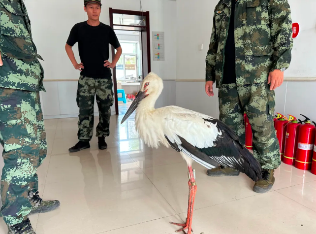 �򲩡�max(�й���)�����ٷ���վ-Unique Platform