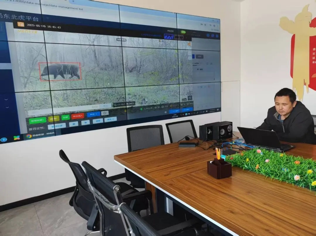 �򲩡�max(�й���)�����ٷ���վ-Unique Platform