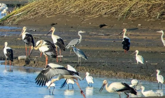 �򲩡�max(�й���)�����ٷ���վ-Unique Platform