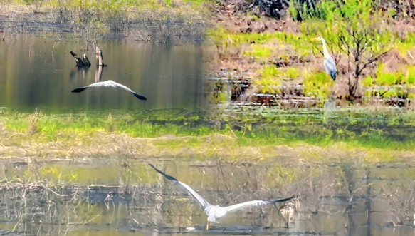 �򲩡�max(�й���)�����ٷ���վ-Unique Platform