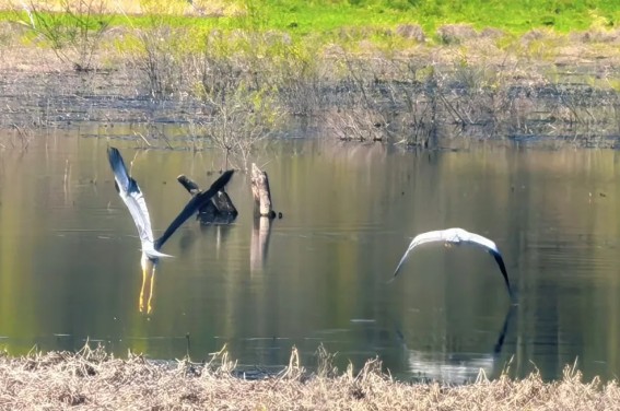 �򲩡�max(�й���)�����ٷ���վ-Unique Platform